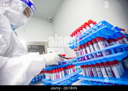 HAIAN, CHINE - le 27 AVRIL 2022 - le personnel médical trie les échantillons d'acides nucléiques livrés à partir de divers sites d'échantillonnage de la base d'analyse des acides nucléiques urbains i Banque D'Images