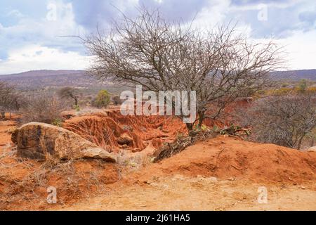 Vue panoramique sur les canyons OL Jogi à Nanyuki, Kenya Banque D'Images