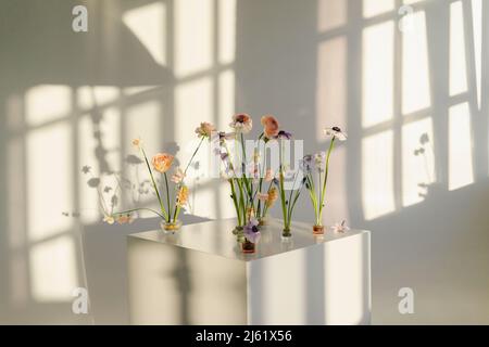Fleurs multicolores sur table blanche Banque D'Images