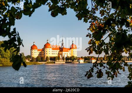 Allemagne, Saxe, Moritzburg, vue sur le lac avec le château de Moritzburg en arrière-plan Banque D'Images