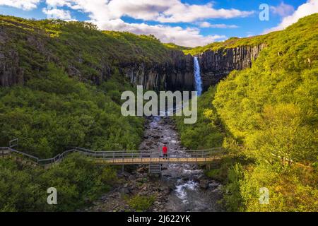 Le randonneur regarde la cascade de Svartifoss dans le parc national de Vatnajokull, en Islande Banque D'Images