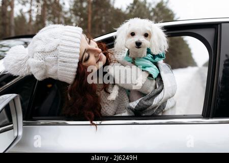 Femme souriante avec un chien qui se penche hors de la fenêtre de la voiture Banque D'Images