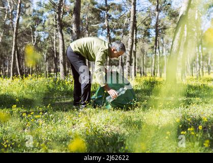 Homme collectant des bouteilles en plastique dans la forêt le jour ensoleillé Banque D'Images