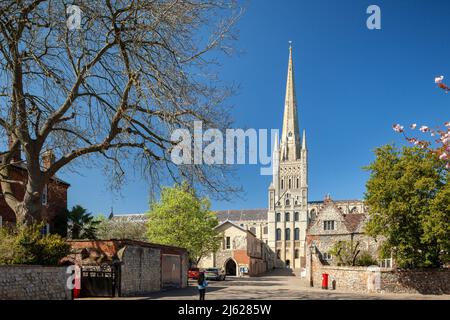 Printemps midi à la cathédrale de Norwich, Norfolk, Angleterre. Banque D'Images
