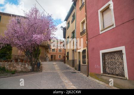 Street. Ayllon, province de segovia, Castilla Leon, Espagne. Banque D'Images