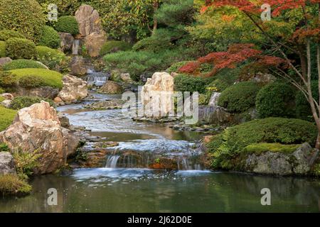 Un nouveau jardin d'étang ou yoko-en du temple de Taizo-in avec un ruisseau qui cascade autour des rochers et des azalées et se vide dans une piscine. Kyoto. Japon Banque D'Images