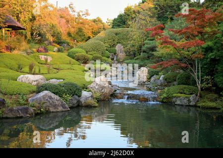 Un nouveau jardin d'étang ou yoko-en du temple de Taizo-in avec un ruisseau qui cascade autour des rochers et des azalées et se vide dans une piscine. Kyoto. Japon Banque D'Images