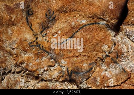 La grotte Cosquer est un Trésor archéologique submergé dans la crique de Marseille. Cette grotte découverte en 1990s par le plongeur Henri Cosquer comprend plus de 270 œuvres d'art préhistoriques, y compris des représentations uniques de pingouins, de phoques et de méduses.en raison de l'élévation des eaux due au réchauffement climatique, la grotte disparaîtra. La construction de sa réponse restera à l'avenir le seul témoignage de ce Trésor de l'humanité. Construite dans le bâtiment de la villa méditerranéenne de Marseille, l'ouverture au public est prévue le 4 juin 2022. Marseille, sud de la France, Banque D'Images