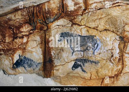 La grotte Cosquer est un Trésor archéologique submergé dans la crique de Marseille. Cette grotte découverte en 1990s par le plongeur Henri Cosquer comprend plus de 270 œuvres d'art préhistoriques, y compris des représentations uniques de pingouins, de phoques et de méduses.en raison de l'élévation des eaux due au réchauffement climatique, la grotte disparaîtra. La construction de sa réponse restera à l'avenir le seul témoignage de ce Trésor de l'humanité. Construite dans le bâtiment de la villa méditerranéenne de Marseille, l'ouverture au public est prévue le 4 juin 2022. Marseille, sud de la France, Banque D'Images