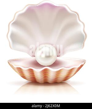 Nacre de perle brillant dans la coquille ouverte d'eau douce ou seashell mollusque gros plan illustration réaliste de vecteur d'image Illustration de Vecteur