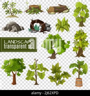 Collection d'éléments naturels de paysage de jardinage moderne avec pierres en bois et plantes tropicales sur fond transparent illustration vectorielle Illustration de Vecteur