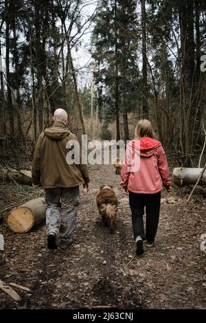 Un homme et une femme d'âge moyen se promèvent dans le parc avec deux bergers australiens. Marche avec les chiens sur la route de la forêt vue arrière. Le couple profite d'un voyage à Conifer Banque D'Images