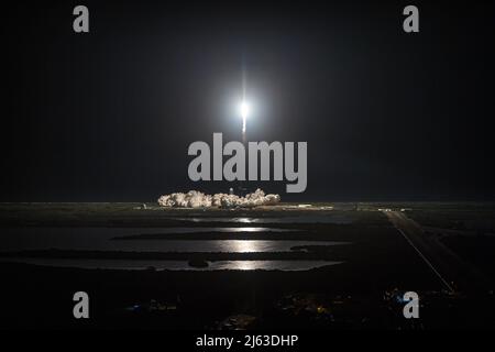 Cape Canaveral, États-Unis. 27th avril 2022. Une fusée SpaceX Falcon 9 se soulève du plateau de lancement du complexe de lancement 39-A au Centre spatial Kennedy à Cape Canaveral, FL., en début de matinée du 27 avril 2022. La fusée transporte quatre astronautes (Bob Hines, Jessica Watkins, Kjell Lindgren et Samantha Cristoforetti d'Italie) jusqu'à la Station spatiale internationale. (Photo par Alex G Perez/AGPfoto/Sipa USA) crédit: SIPA USA/Alay Live News Banque D'Images