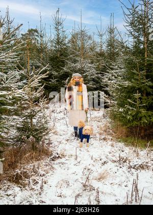 Jeune femme caucasienne marchant dans un Cockapoo dans une ferme d'arbres de Noël enneigée. Banque D'Images