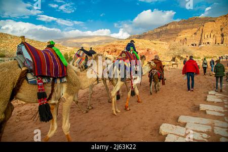 Bédouins sur les chameaux attendant les touristes à Petra Jordanie 19 février 2020 Banque D'Images