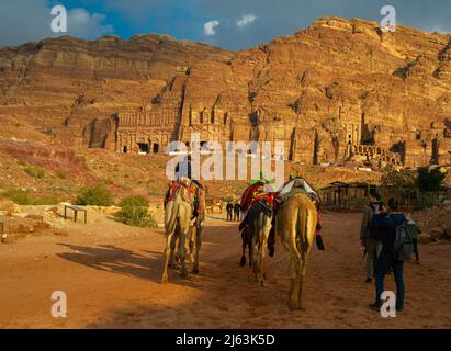 Bédouins sur les chameaux attendant les touristes à Petra Jordanie 19 février 2020 Banque D'Images