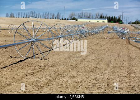 Une nouvelle installation sprinkleur de ligne de roues prête à irriguer un champ de blé, dans les champs fertiles de l'Idaho. Banque D'Images