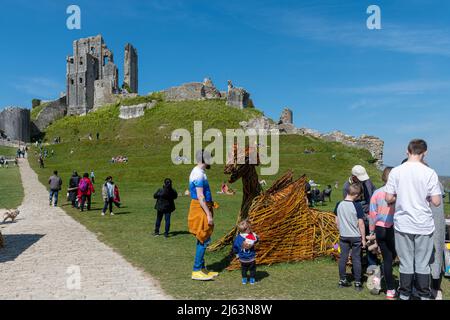 Le château de Corfe à Dorset, Angleterre, Royaume-Uni, une attraction touristique populaire occupée par les visiteurs pendant les vacances de Pâques avec des événements spéciaux Banque D'Images