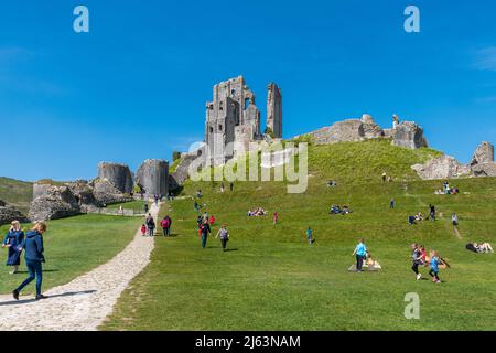 Le château de Corfe à Dorset, en Angleterre, au Royaume-Uni, une attraction touristique populaire animée par les visiteurs lors d'une journée de printemps ensoleillée Banque D'Images