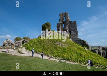 Le château de Corfe à Dorset, en Angleterre, au Royaume-Uni, une attraction touristique populaire animée par les visiteurs lors d'une journée de printemps ensoleillée Banque D'Images