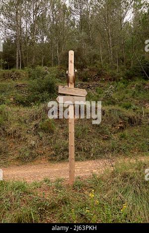 Poteau en bois avec des poteaux de signalisation dans la forêt. Espace vide, pins, pierres de ciel Banque D'Images