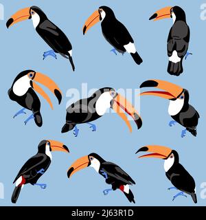 Permet de faire une tournée de différentes poses. Plate main dessin simple style exotiques oiseaux tropicaux. Toucan avec grand bec ouvert et fermé. Illustration vectorielle pour les voyages de vacances d'été. Illustration de Vecteur