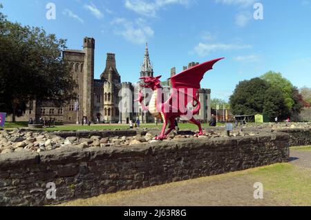 Une statue d'opportunité de photo Red Dragon au château de Cardiff, printemps 2022. Dragon gallois. Banque D'Images