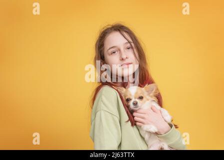 Jeune fille avec un chien de la race Chihuahua sur fond jaune. Fille et chien blanc. Banque D'Images