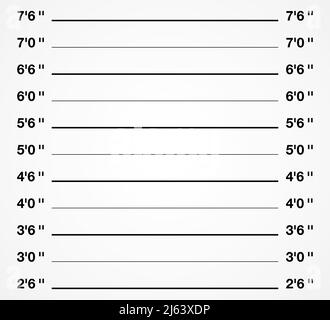 Arrière-plan de tournage criminel. Illustration du vecteur de mesure de la hauteur Mugshot. Illustration de Vecteur