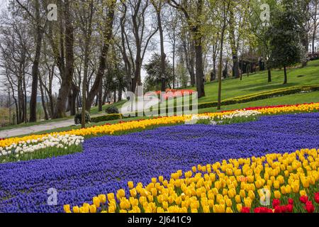 Festival de la tulipe à Emirgan Park dans le quartier de Sariyer à Istanbul, Turquie Banque D'Images