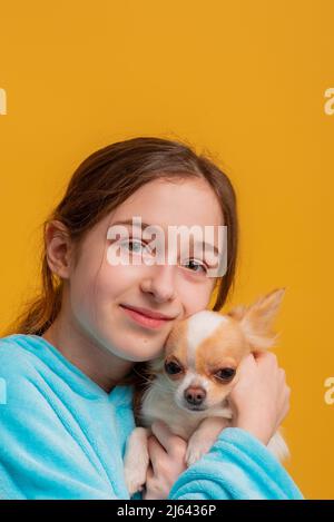 Fille et chien blanc. Jeune fille avec un chien de la race Chihuahua sur fond jaune. Banque D'Images