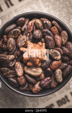 Fèves de cacao et truffes au chocolat dans un bol. Pralines douces. Vue de dessus. Banque D'Images