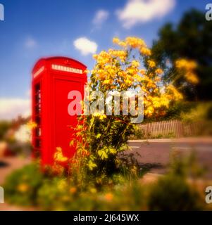 Boîte téléphonique rouge britannique historique avec fleurs jaunes devant et ciel bleu ensoleillé, avec nuages blancs, en arrière-plan, Kent, Angleterre Banque D'Images