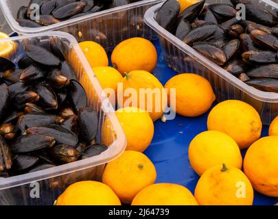 Moules dans la coquille avec citron sur fond de fer bleu. Banque D'Images