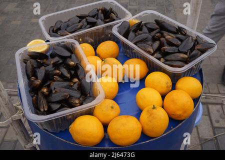 Moules dans la coquille avec citron sur fond de fer bleu. Banque D'Images