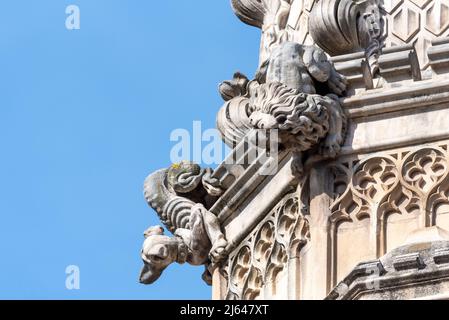 Gargoyle, détail animal sur l'abbaye de Westminster. Église abbatiale gothique de la Cité de Westminster, Londres, Royaume-Uni. Chapelle Henry VII à l'extrémité est de l'abbaye Banque D'Images