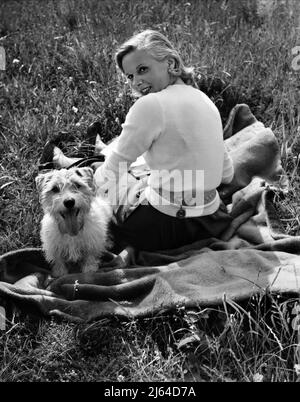 ANN TODD, WHISKY LE CHIEN, LA BARRIÈRE SONORE, 1952 Banque D'Images