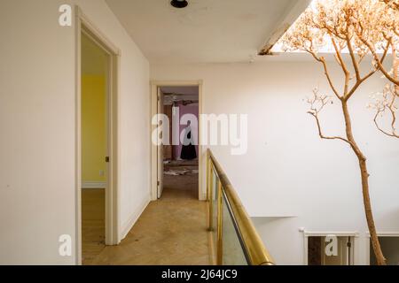 Un arbre mort qui grandit dans un manoir abandonné. Banque D'Images