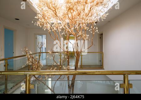 Un arbre mort qui grandit dans un manoir abandonné. Banque D'Images