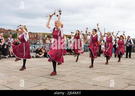 Chinewrde Morris danseurs à Whitby Folk week Banque D'Images