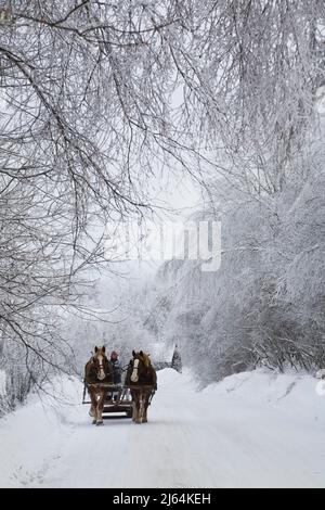 Traîneau tiré par des chevaux sur une route de campagne enneigée en hiver, Cantons de l'est, Québec, Canada. Banque D'Images
