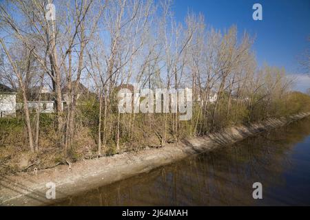 Petite rivière à côté d'une rangée de maisons au printemps. Banque D'Images