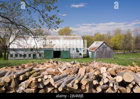 Bois de chauffage empilés et deux granges en arrière-plan au printemps, Laval, Québec, Canada. Banque D'Images