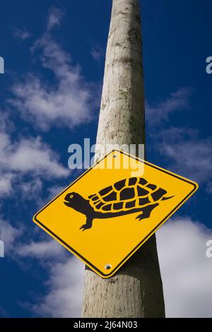Pictogramme de traversée de tortue jaune et noir sur une barre téléphonique. Banque D'Images
