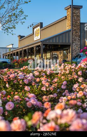 Le printemps à Atlanta au restaurant Cracker Barrel Old Country Store à Snellville, en Géorgie, au coucher du soleil. (ÉTATS-UNIS) Banque D'Images