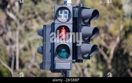 Feu de circulation pour piétons rouge, symbole ne pas marcher. Feu stop et minuterie, temps restant pour ne pas traverser la route. Arrière-plan flou Banque D'Images