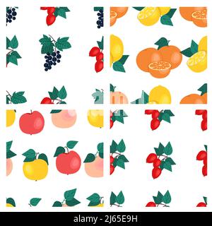 Ensemble de motifs sans couture aux fruits. Oranges, raisins de Corinthe noirs, roses pour chiens, citrons, pommes, imprimés de fruits. Illustration vectorielle Illustration de Vecteur