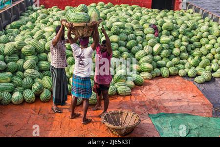 Pastèque en amont du bateau pour vendre dans le Bazar local. Cette image a été prise sur la rive de la rivière Burigongga le 24 avril 2022, en D. Banque D'Images