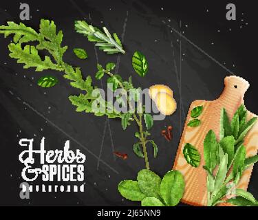 Vert feuilles légumes promotion herbes fond de tableau noir avec arugula romarin illustration vectorielle de gingembre d'épinards sur planche à découper Illustration de Vecteur