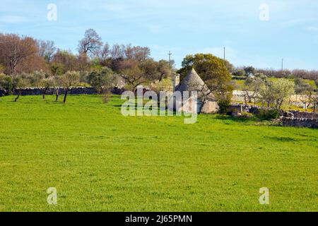 Les logements Trulli en Apulia, campagne, olivier et bâtiment traditionnel. Salento, Pouilles, Italie du Sud. Trulli sont des huttes traditionnelles en pierre sèche W Banque D'Images